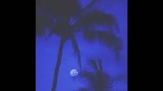 [free] summrs + exotic type beat - 