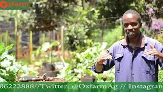 Oxfarm Multi-storey Garden - saves on space