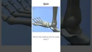 #what is the medical term for anklebone#anklebone#anatomy #bones#shortsfeed#shortsquiz