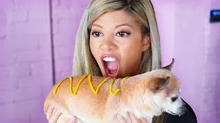 WE WERE HARMED IN THE MAKING OF THIS VIDEO
