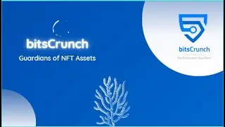 bitsCrunch - The Ecosystem Guardians of NFT Assets
