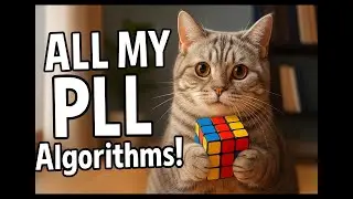 CFOP: All My PLL Algorithms