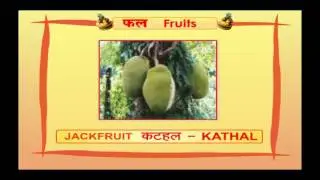 Learn Names of Fruits - Phalon ke Naam in Hindi