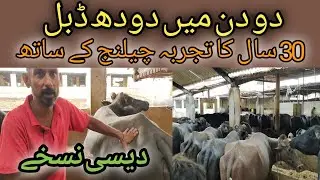 Cow Cattle Desi Elaj 💯Challenge l 30 Years Experience Farmer Shared Saro, Gal Ghoto, Doodh Desi Ilaj
