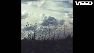 (FREE FOR PROFIT) Ambient House Type Beat