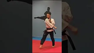 Taekwondo Poomsae 7 (Tae Geuk Chil Jang),