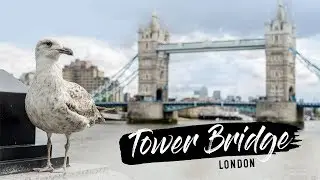VISIT LONDON TOWER BRIDGE (This Tour Is The Top Must in London's City Guide)