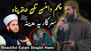 Chum Damnas Tal Dith Panah || Sarkari Madeena ﷺ || Beautiful ❤️ Kalam Shaykh Hami Sahab  || Muneeb  