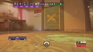 Fast plant YING Raimbow six sieg