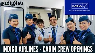 Indigo airlines cabin crew jobs | Tamil | Drestle