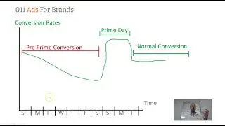 Little Known Amazon Prime Day '23 Strategy - Amazon Ads PPC Campaigns #analysis #consumerbehaviour