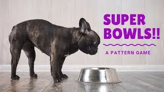 Super Bowls! | A Game for Dogs! | Control Unleashed