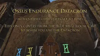 Ossus Endurance Datacron