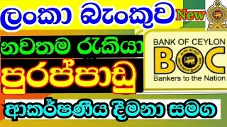 BOC bank vacancies 2021|government bank job vacancies in sri lanka|bank job vacancies 2021 sri lanka