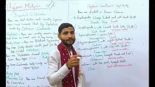Classification of phylum mollusca! Classes of phylum mollusca! kingdom animalia! sir asif sindhi