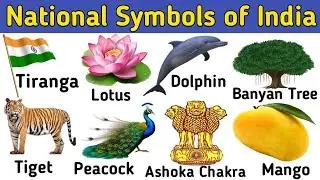 🇮🇳 Learn National Symbols of India || 🐅National symbols for kids in English | The kituu world
