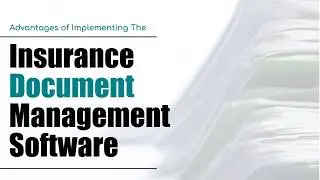 Advantages Of Implementing The Insurance Document Management Software: Damco Solutions