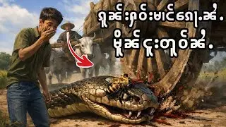 ဢမ်ႇႁုဢမ်ႇပဵၼ် ဢၼ်ၵဵဝ်ႇလူၺ်ႈၵူၼ်းႁဝ်းၵူႈၵေႃႉ