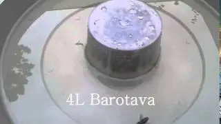 4l barotava