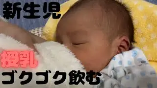 【新生児の授乳】母乳をグビグビ飲む赤ちゃん