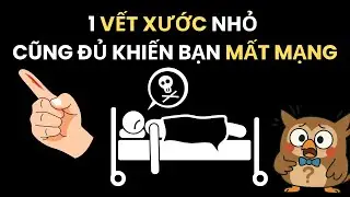 Sự Thật Rùng Mình Về Căn Bệnh Từ Vết Xước Nhỏ