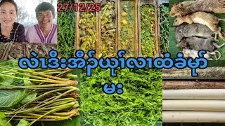 သွ့ဘိဝ့ၤယုၢ်ညၣ်ယၢ်ပျိၢ်ကသူယုၢ်အံၣ်ခၣ်ထံအီၣ်ဝံၣ်မး