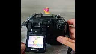 Olympus Camedia C-5060 5.1MP Wide Zoom Digital Camera #ebay #vintageelectronics #digitalcamera
