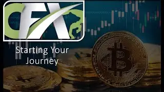 CASHFX GETTING STARTED TUTORIALS