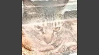 4cid