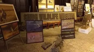 Places to Visit Karachi| Wildlife Museum Pakistan | Govt of Sindh| Museum| Syed Ali Abid |