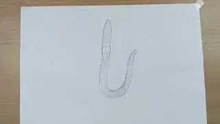 Earthworm Drawing Easy step by step