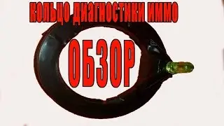 Кольцо для диагностики иммобилайзера. Обзор.