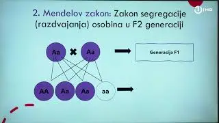 Domaća zadaća za 9. razred: Biologija - Mendelovi zakoni