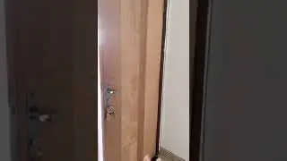 Porta fazendo barulho estranho