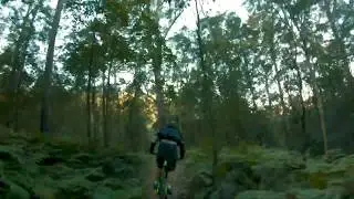 Mapleton DH - another run followng Todd