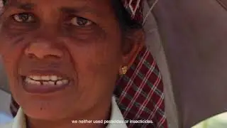 Speaking of Ancestral food, Kerela