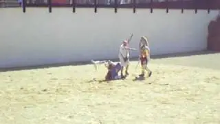Chester Roman Festival Gladiator Fight 2