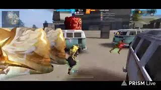 Live streaming of rasar. gaming