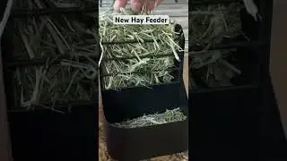 Perfect Hay Feeder for Rabbits and Small Animals