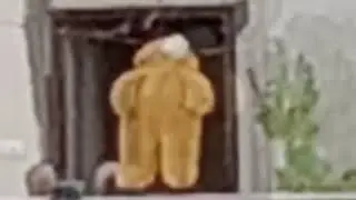 Cursed teddy bear