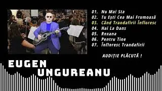 Eugen Ungureanu - 7 Melodii de Succes (official 8K visualiser)