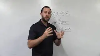 5 Stages of a Successful Private Sports Trainer | Part 1