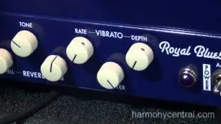 Burriss Amps Royal Bluesman Version 2