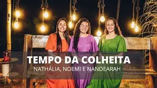 TEMPO DA COLHEITA - NOEMI, NATHÁLIA E NANDEARAH - RECANTINHO 2022
