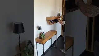 Hidden Shelf Hack: 😲 The Coolest Secret Compartment Revea #viral #storage #secret #shelf #awesome