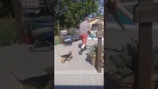 Uncle pushed my little sister in the pool