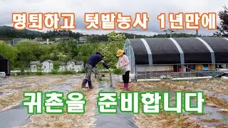 명퇴하고 250평 텃밭농사 1년의 기록 ㅣ귀촌준비 ㅣ  내게 맞는 땅 구하기 ㅣ ♡귀여운 길냥이 돌봄