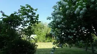 A vendre - Maison/villa - Baud (56150) - 6 pi&egrave;ces - 123m&sup2;