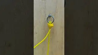 One Ring, One Rope, One Smart Knot🪢 #shorts #skills #howto #knowledge #tricks