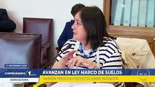 Comisiones en 1 Minuto - 17 de Diciembre 2025